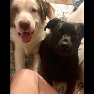 Meet your Posher, Samantha